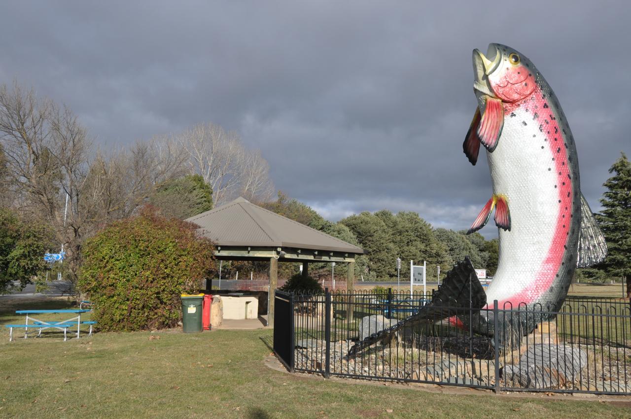 Selwyn Star Lodge Adaminaby Eksteriør bilde